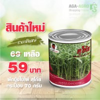 เมล็ดพันธุ์ผักบุ้ง ใบไผ่สุโก้ย ชนิดกระป๋อง 70 กรัม