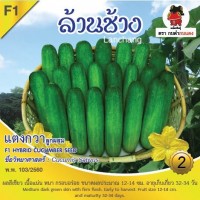 แตงกวา ล้านช้าง