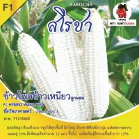 ข้าวโพดข้าวเหนียว สโรชา