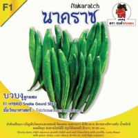 บวบงู นาคราช