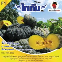ฟักทอง ไททัน