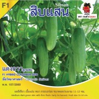 แตงกวา สิบเเสน