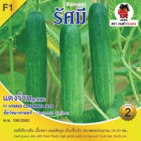 แตงร้าน รัศมี