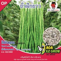 ถั่วฝักยาวเมล็ดขาว สีพันดอน
