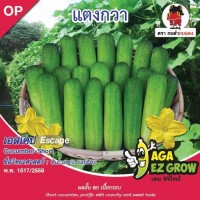 แตงกวา เอสเคป