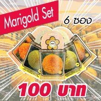 ชุดดาวเรืองมหาโชค (Marigold Set)