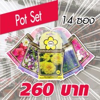 ชุดดอกไม้ในกระถาง ( Pot Set)