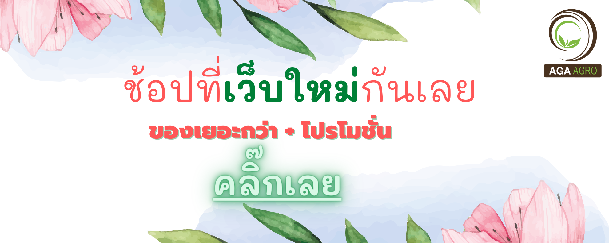 เว็บใหม่